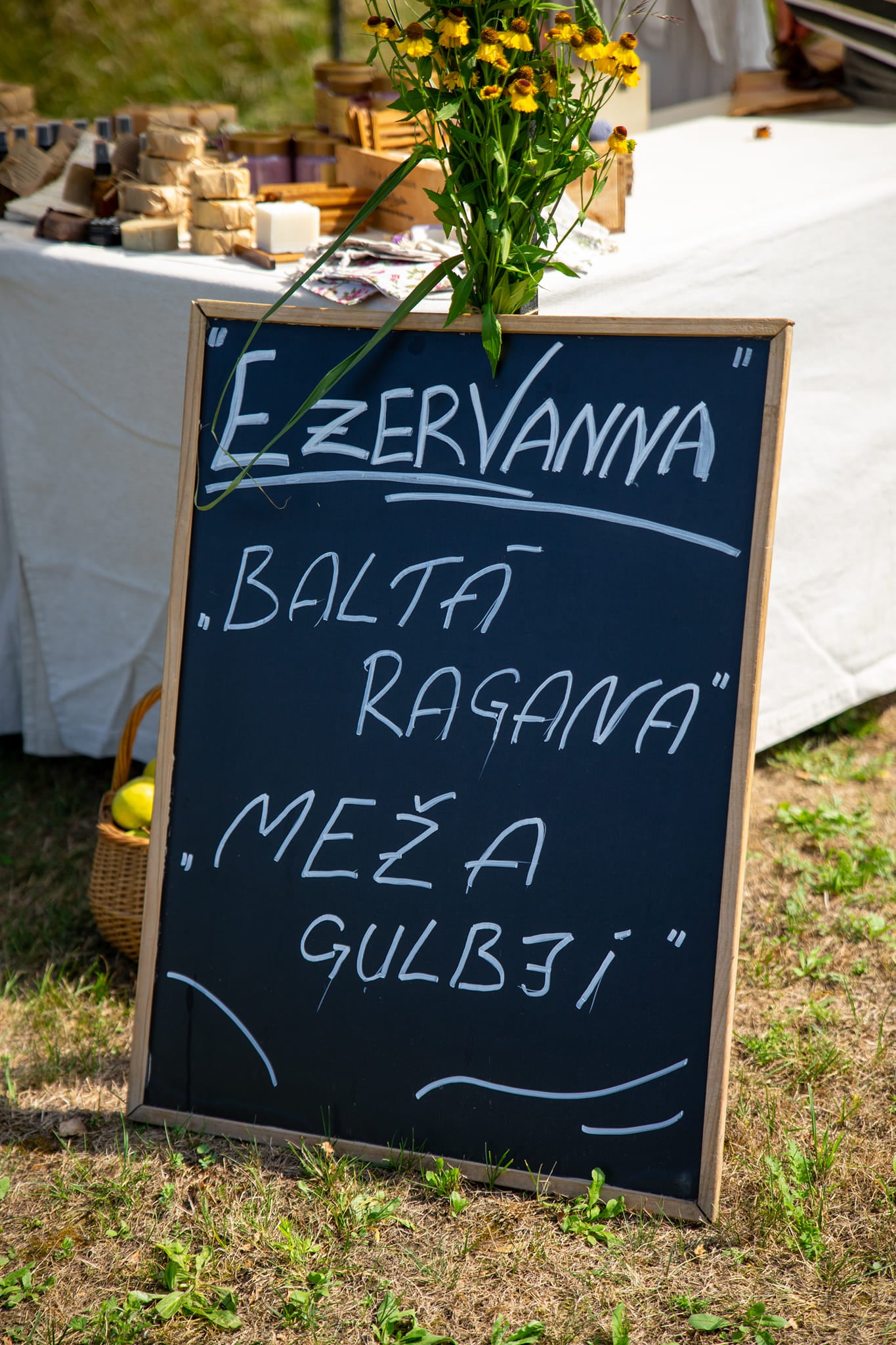 Gadatirgus 22.08.2024