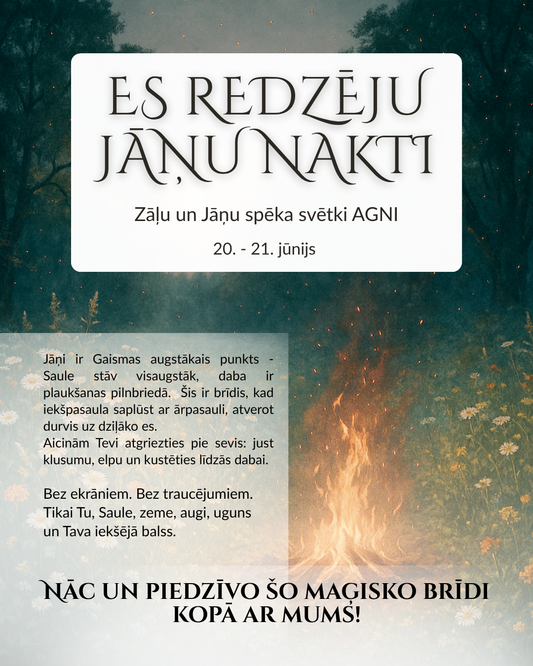 ES REDZĒJU JĀŅU NAKTI